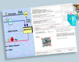 Import-Permit-1-768x539.jpg