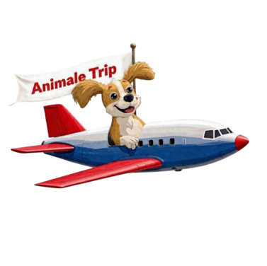 cachorro-avi-o.png