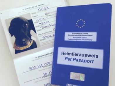 passaporte-europeu.jpg