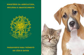 passaporte-brasil.jpg